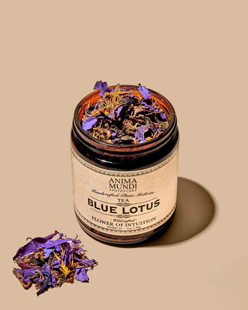 Blue Lotus: Flower of Intuition